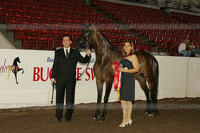 Proof Number 06buckeye_1102