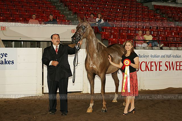 Proof Number 06buckeye_0245