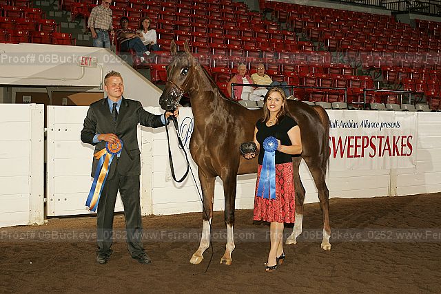 Proof Number 06buckeye_0262