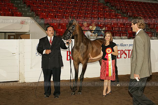 Proof Number 06buckeye_0281