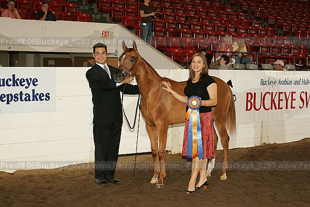 Proof Number 06buckeye_0283