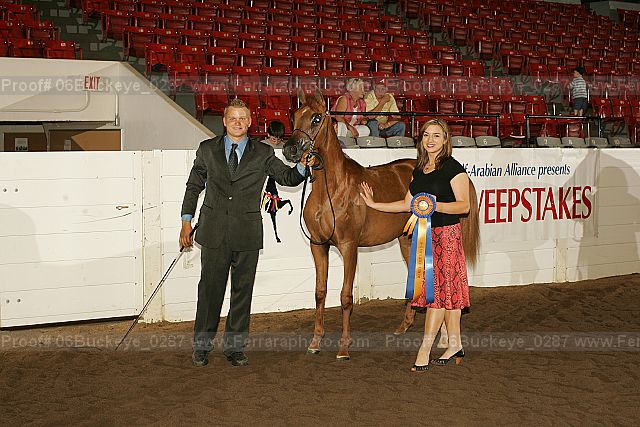 Proof Number 06buckeye_0287