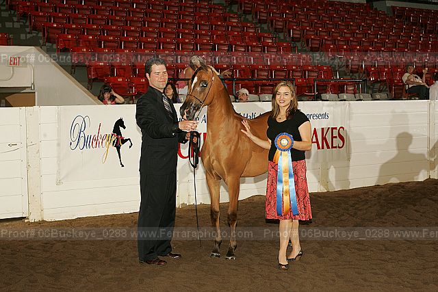 Proof Number 06buckeye_0288