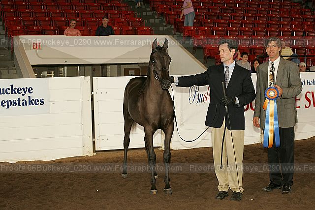 Proof Number 06buckeye_0290