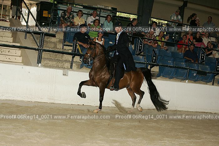 Proof Number 06reg14_0071