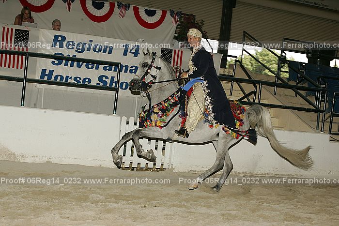 Proof Number 06reg14_0232