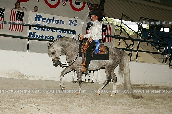 Proof Number 06reg14_0283