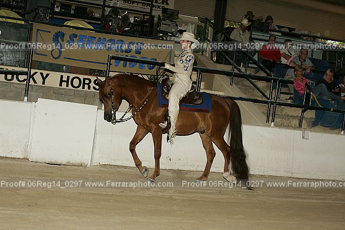 Proof Number 06reg14_0297