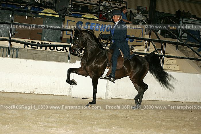Proof Number 06reg14_0330