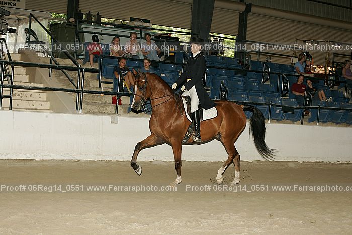 Proof Number 06reg14_0551