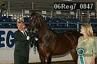 06reg7_0847 thumbnail