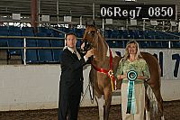 06reg7_0850 thumbnail