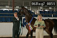 06reg7_0851 thumbnail