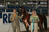 06reg7_0856 thumbnail