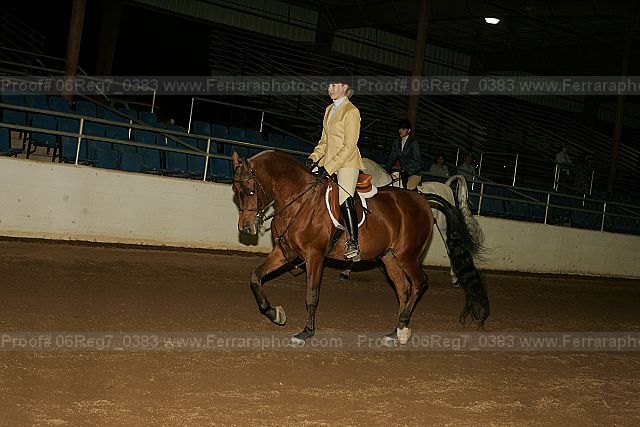 Proof Number 06reg7_0383