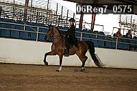 06reg7_0575 thumbnail