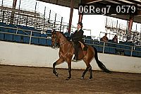 06reg7_0579 thumbnail