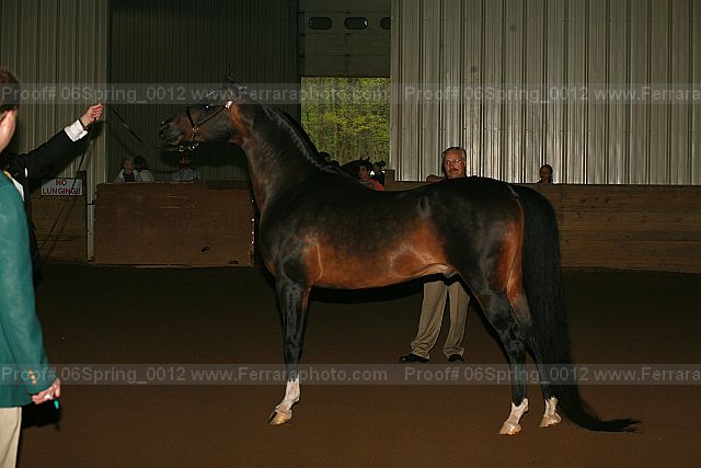 Proof Number 06spring_0012