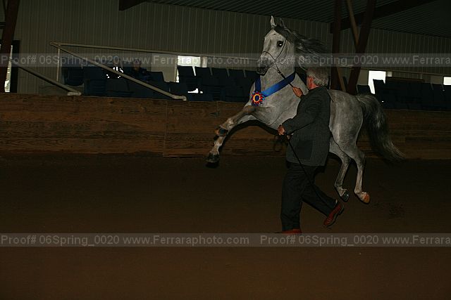 Proof Number 06spring_0020