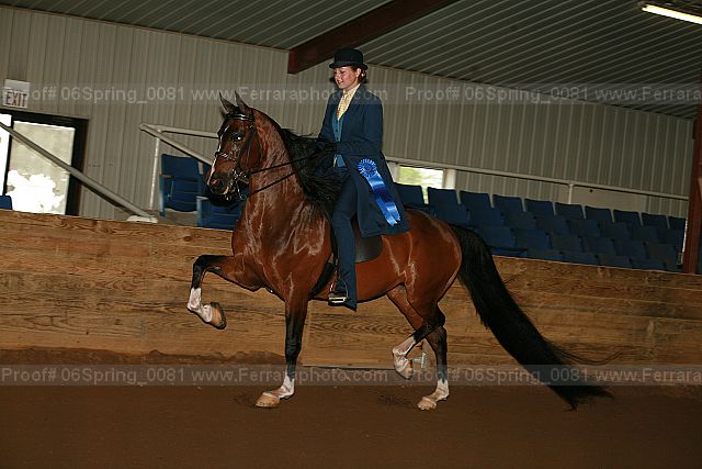 Proof Number 06spring_0081