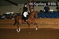 06spring_0186 thumbnail