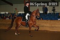 06spring_0189 thumbnail