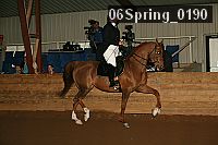 06spring_0190 thumbnail