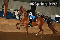 06spring_0192 thumbnail