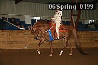 06spring_0199 thumbnail