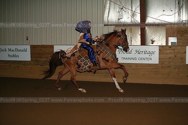 Proof Number 06spring_0237