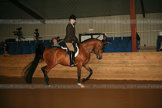 Proof Number 06spring_0281