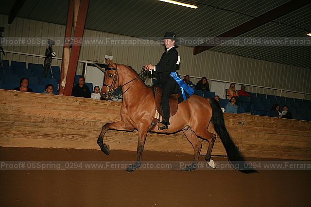 Proof Number 06spring_0294