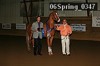 Proof Number 06spring_0347