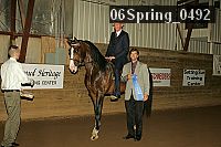 06spring_0492 thumbnail