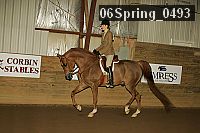 06spring_0493 thumbnail