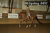06spring_0497 thumbnail