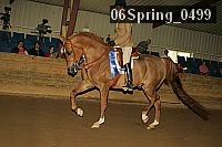 06spring_0499 thumbnail