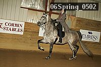 06spring_0502 thumbnail