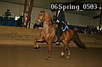 06spring_0503 thumbnail