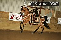 06spring_0507 thumbnail