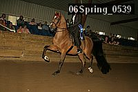 Proof Number 06spring_0539