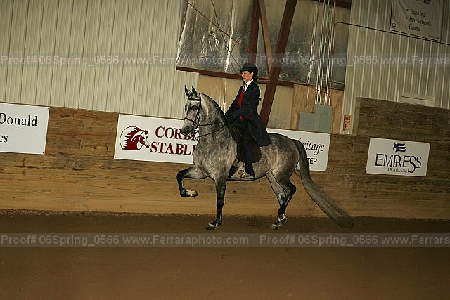 Proof Number 06spring_0566