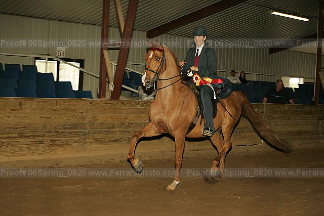 Proof Number 06spring_0820