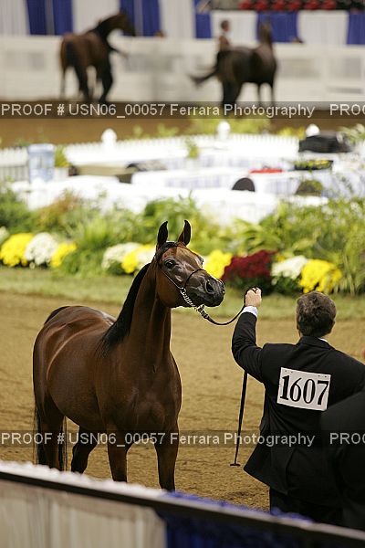Proof Number USN06_00057