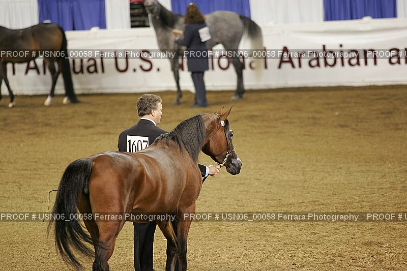 Proof Number USN06_00058