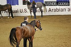 USN06_00058 thumbnail