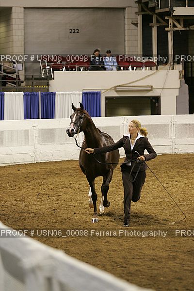 Proof Number USN06_00098