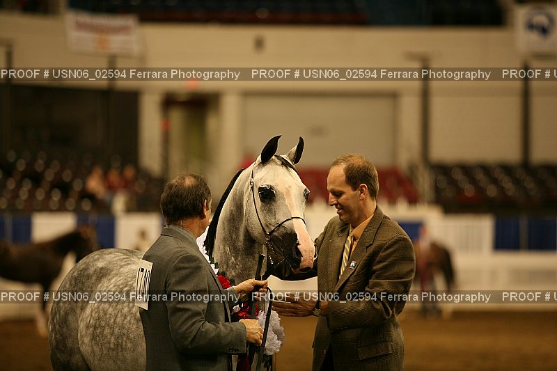 Proof Number USN06_02594