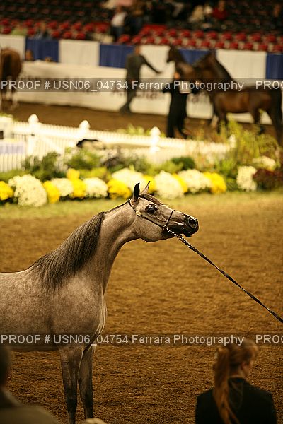 Proof Number USN06_04754