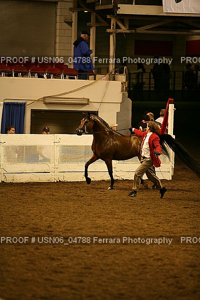 Proof Number USN06_04788